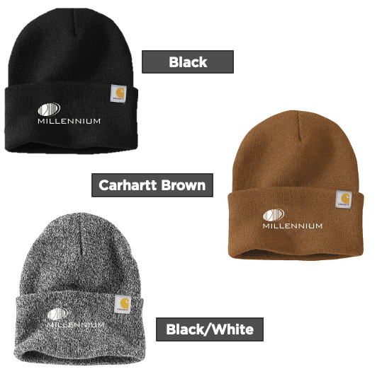 Carhartt Watch Cap 2.0