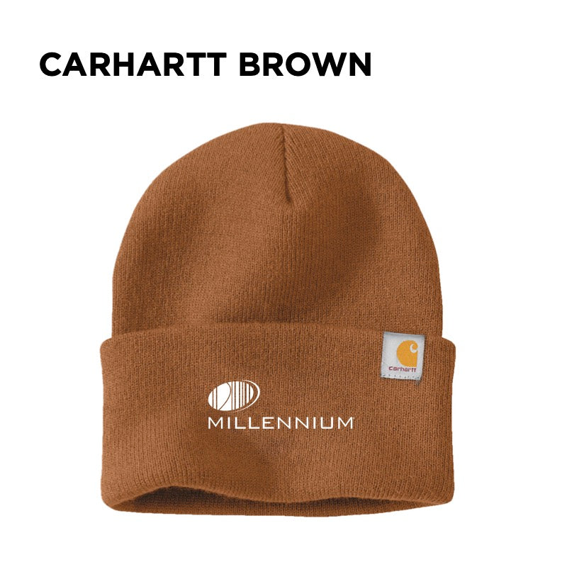 Carhartt Watch Cap 2.0